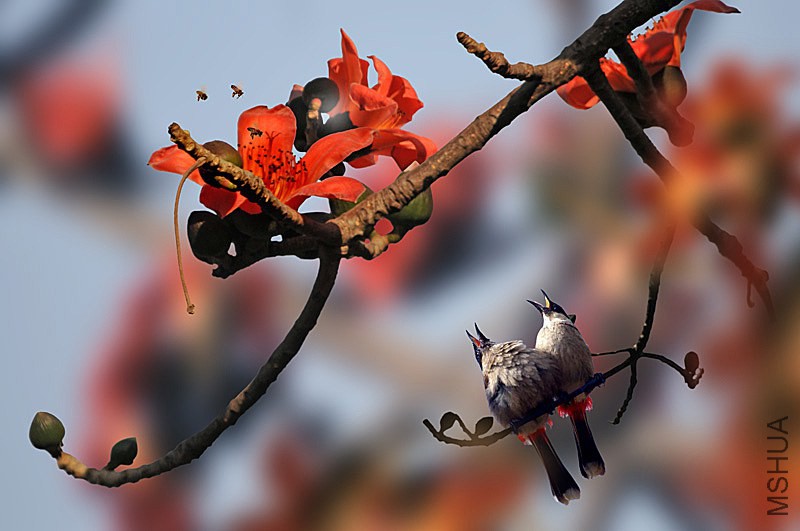 02-DSC_8223 ����_b.jpg