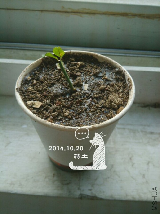 QQͼƬ20141020082513.jpg