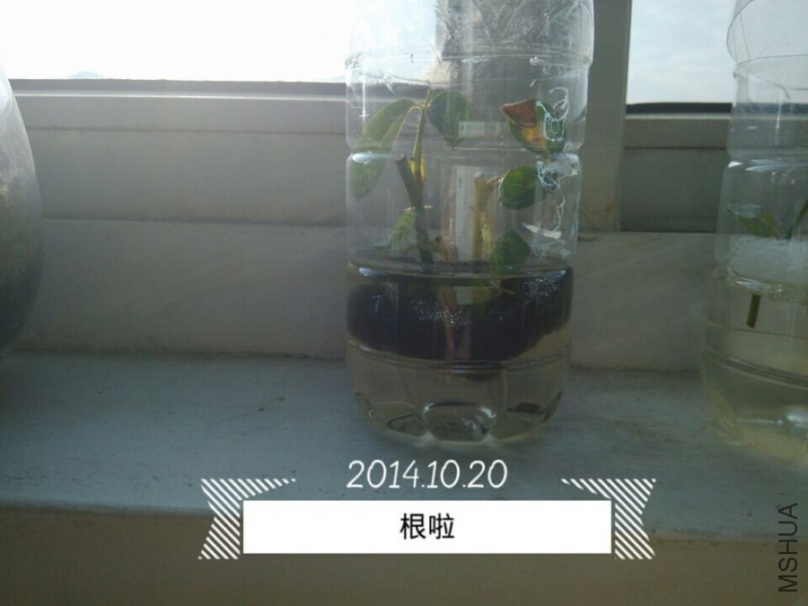QQͼƬ20141020082507.jpg