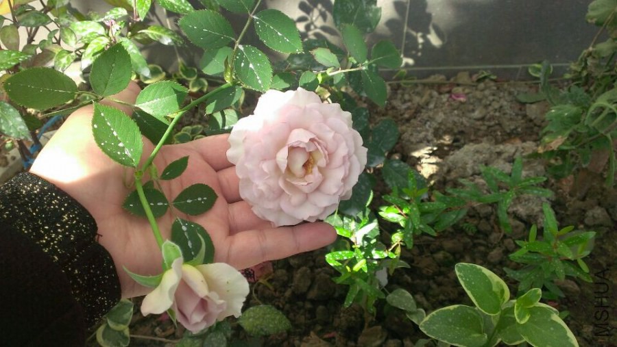 �����췭��