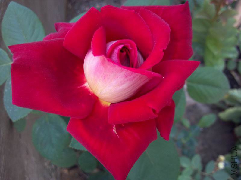 ������С 2014-05-20_07-19-48_6.jpg