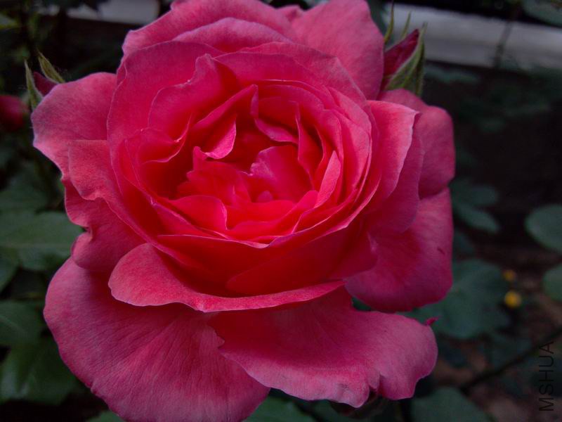 ������С 2014-05-02_08-17-59_663.jpg