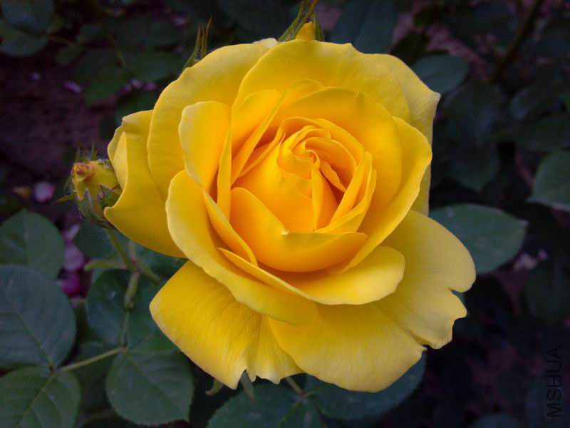 ������С 2014-05-09_07-03-42_546.jpg