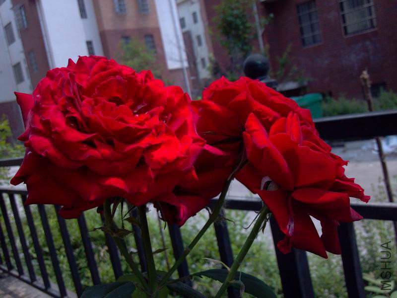 ������С 2013-05-18_13-05-56_457.jpg