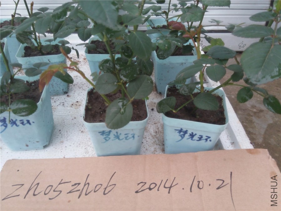 20141019135715�ι⻷.jpg