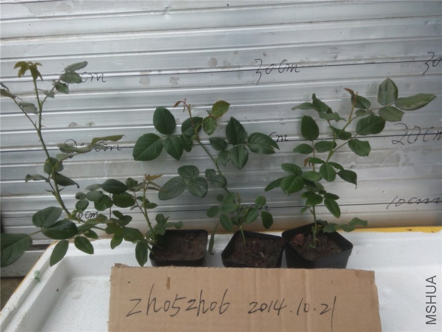 20141019140457����.jpg