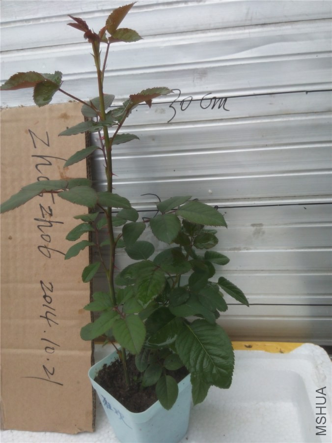 20141019140656��.jpg