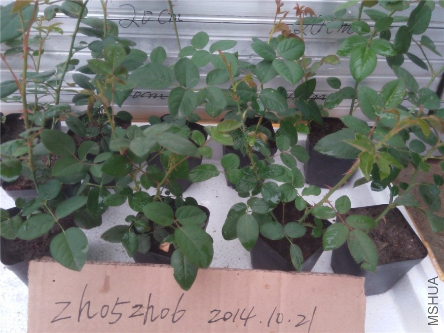 20141019141940����Ī��.jpg