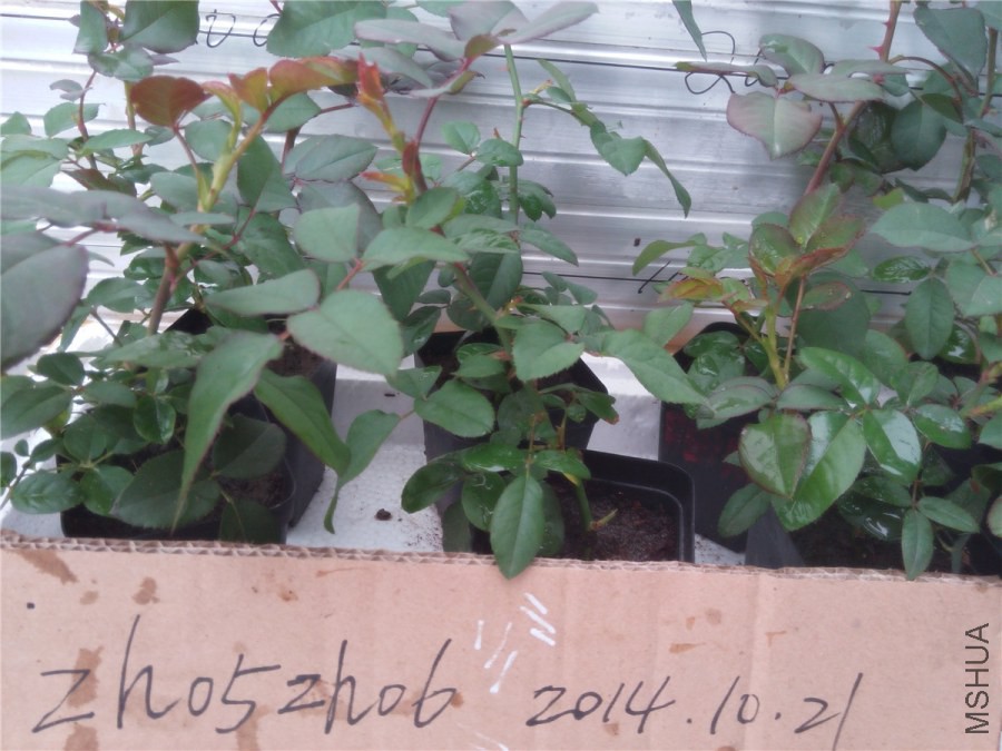 20141019145316��õ.jpg