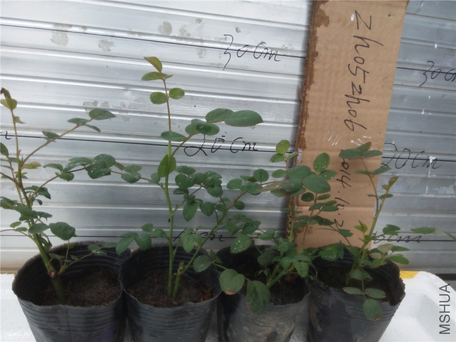 20141019153416���Ů��.jpg
