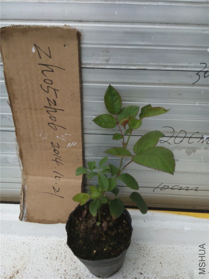 20141020143412������.jpg