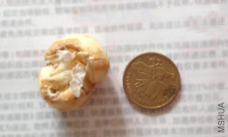 QQͼƬ20141021115053.jpg