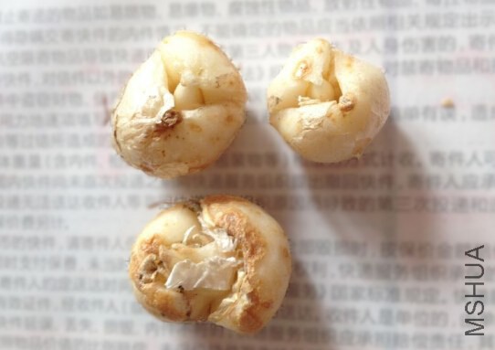 QQ��ͼ20141021120815.jpg