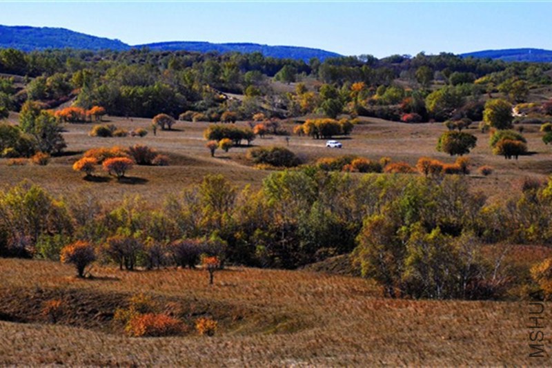 psb (69)_����.jpg