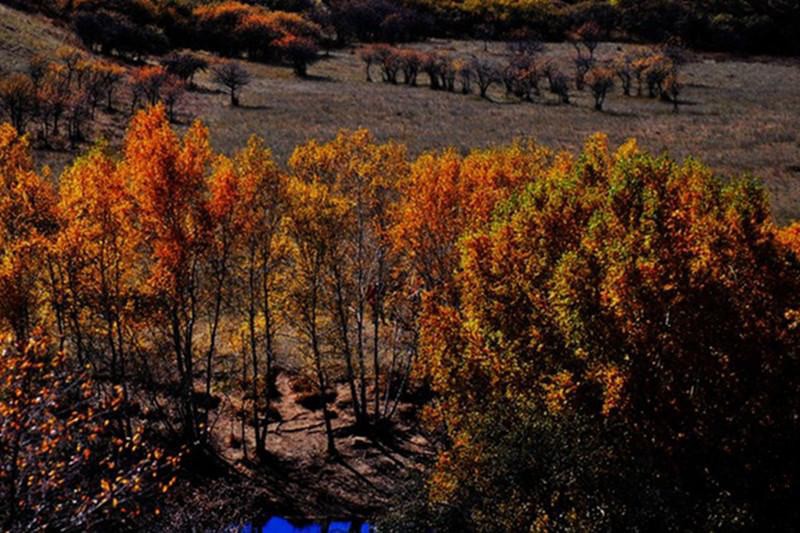 psb (70)_����.jpg