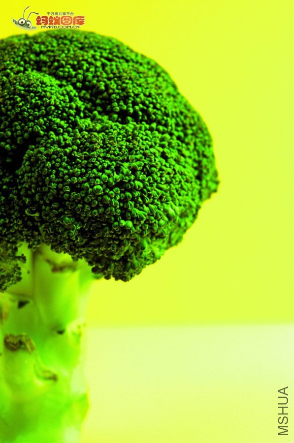 s-owjhflw43 (924).jpg