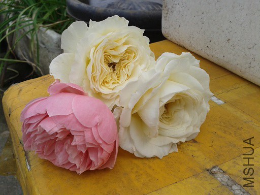 20141013_135425.jpg