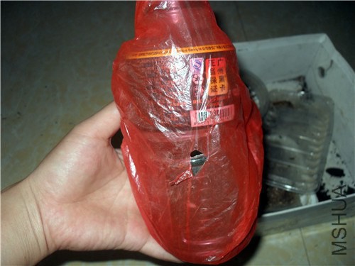 SDC15070.JPG