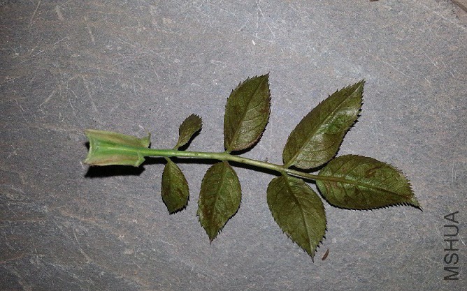 20141017_185634.jpg
