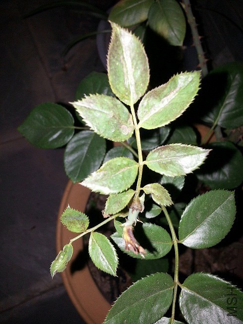 20141017_185528.jpg