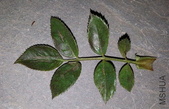 20141017_185641.jpg