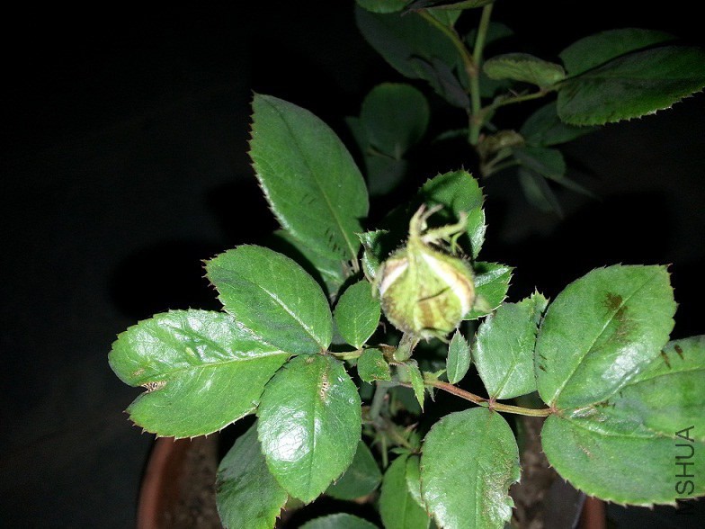 20141017_185731.jpg