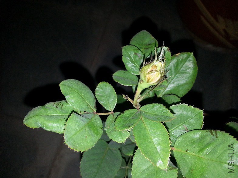20141017_185708.jpg