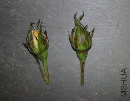 20141017_185831.jpg