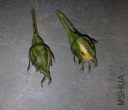 20141017_185823.jpg