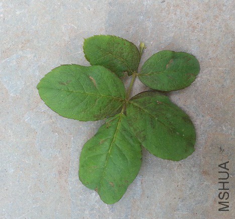 20141018_093737.jpg