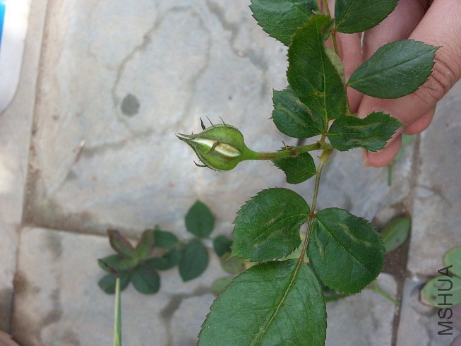 20141018_094323.jpg