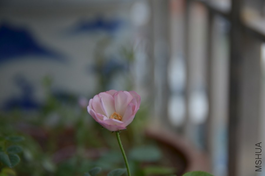 HGS_9843.jpg