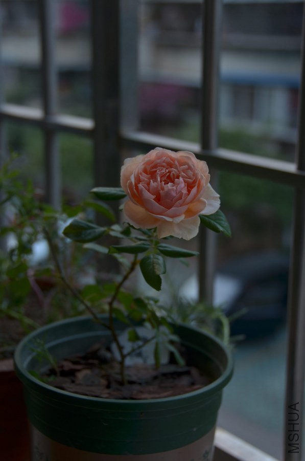 HGS_9969.jpg