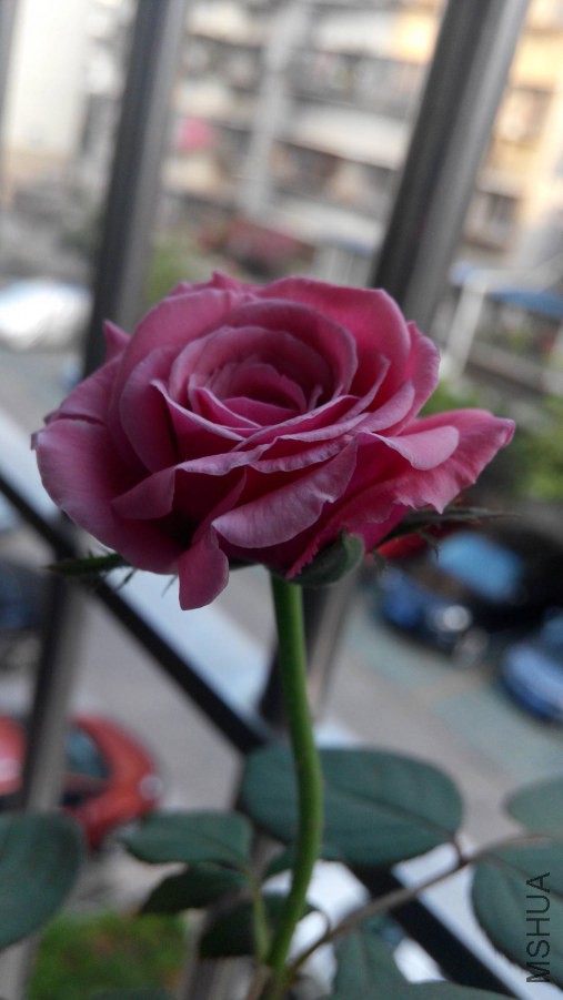 ��ѡͼƬIMG_20141021_071029.jpg