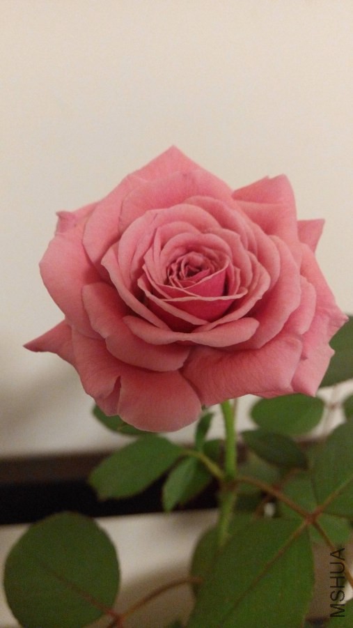 ��ѡͼƬIMG_20141021_174637.jpg