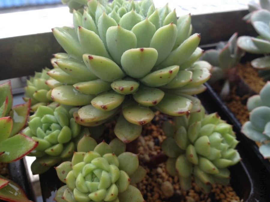 QQͼƬ20141015112215.jpg