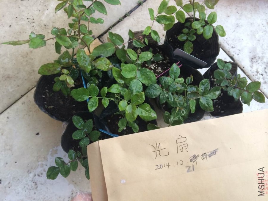 QQͼƬ20141022171820.jpg