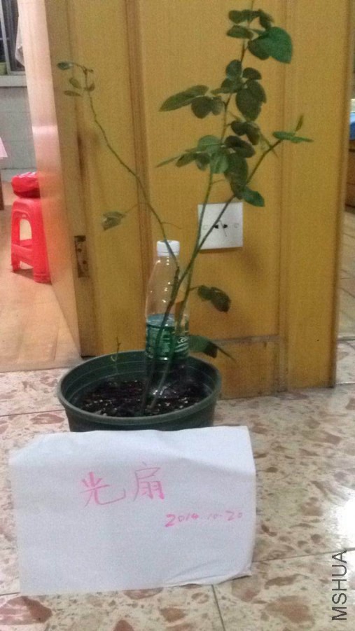 QQͼƬ20141020203320.jpg