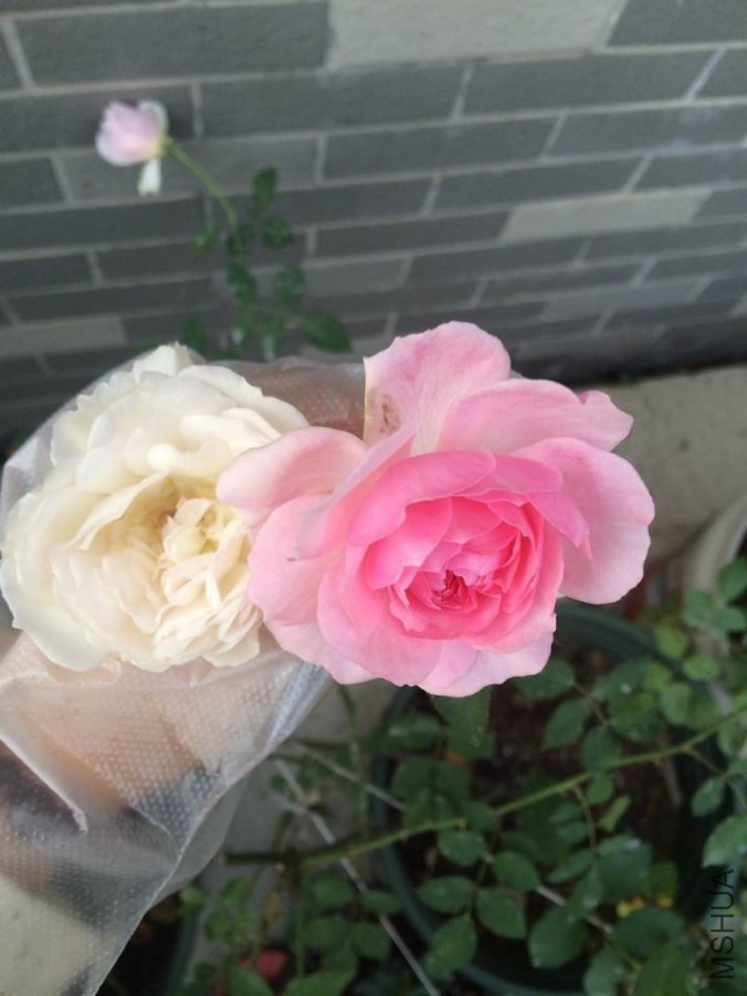 QQͼƬ20141022180525.jpg
