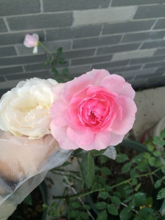 QQͼƬ20141022180530.jpg