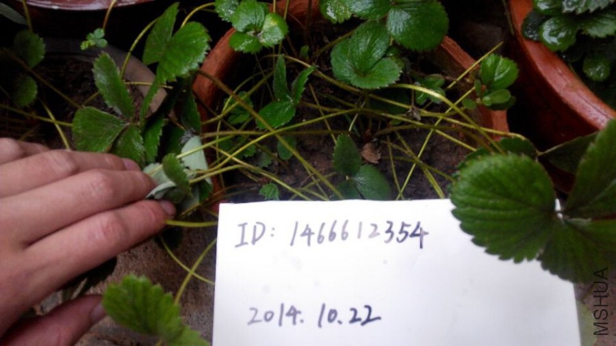 20141022182042.jpg