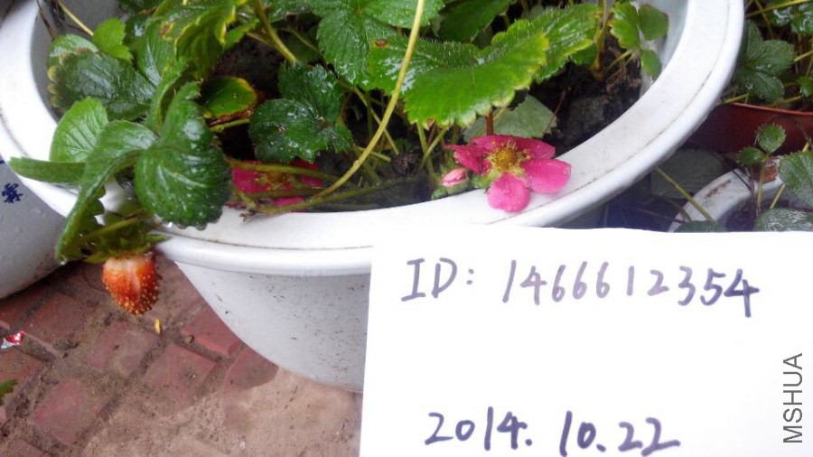 20141022182055.jpg