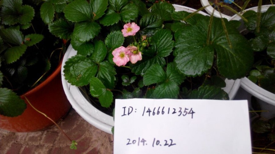 20141022182115.jpg