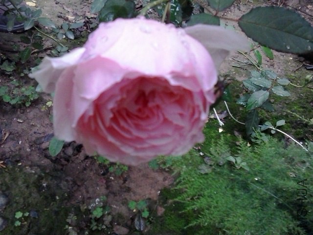 20141021_073949.jpg