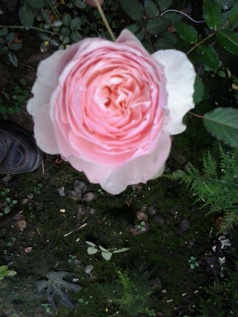 20141021_074024.jpg