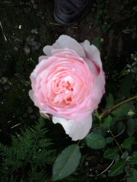 20141021_074033.jpg