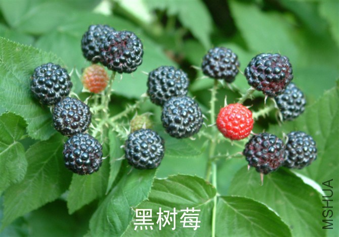 b201010181126424659.jpg