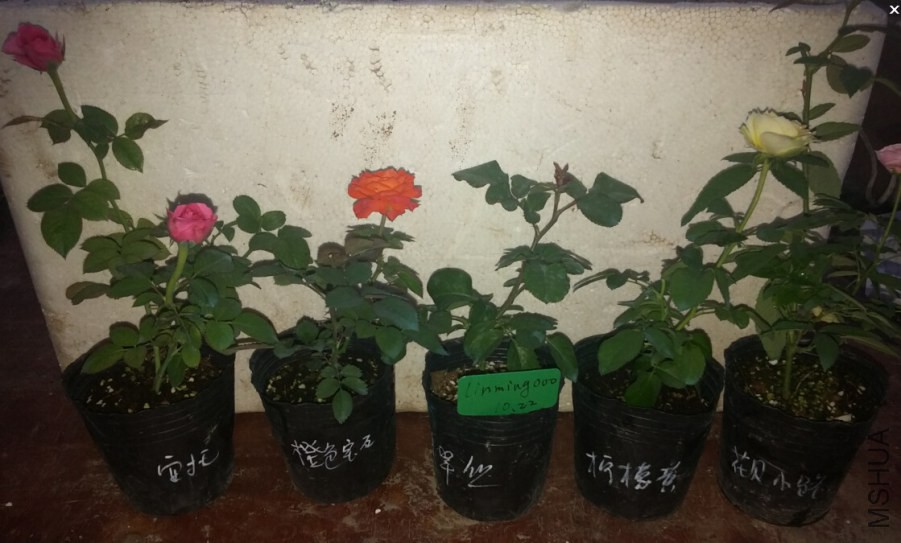 QQ��ͼ20141022211739.jpg