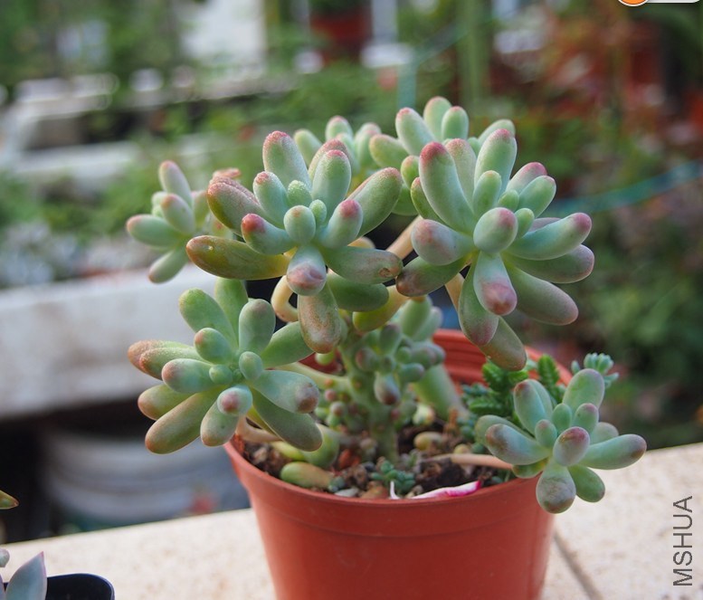 QQͼƬ20141023101340.jpg