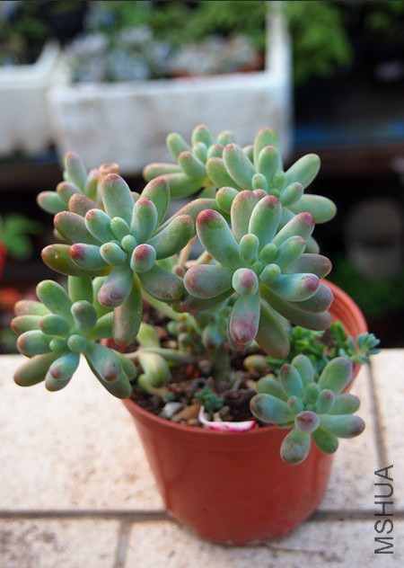 QQͼƬ20141023101132.jpg